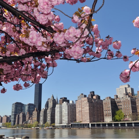 Make an offer… you never know! - Picture 1 of 1